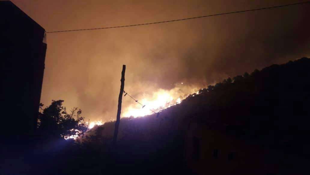 Fire Sweeps through Trees in Algeria