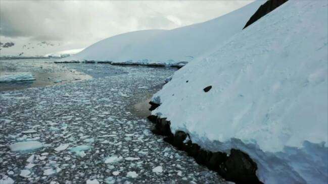 Antarctica Faces Severe Climate Threat Sada Elbalad